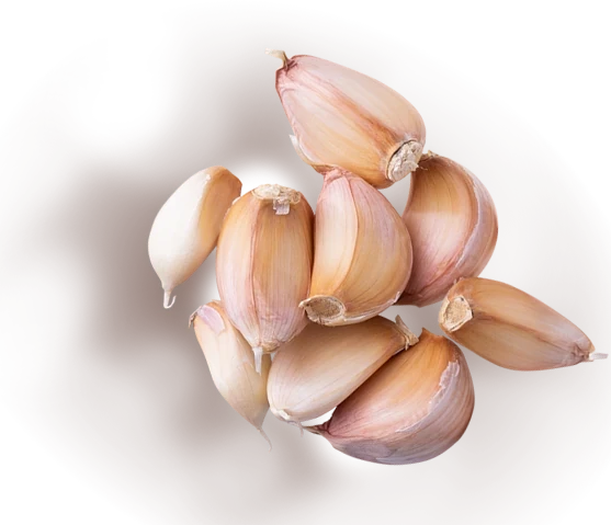 ajo